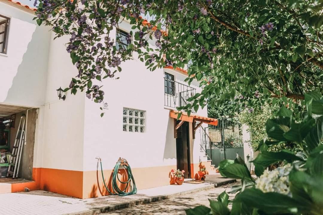 Villa Casa Da Milharica Figueiro Dos Vinhos Esterno foto