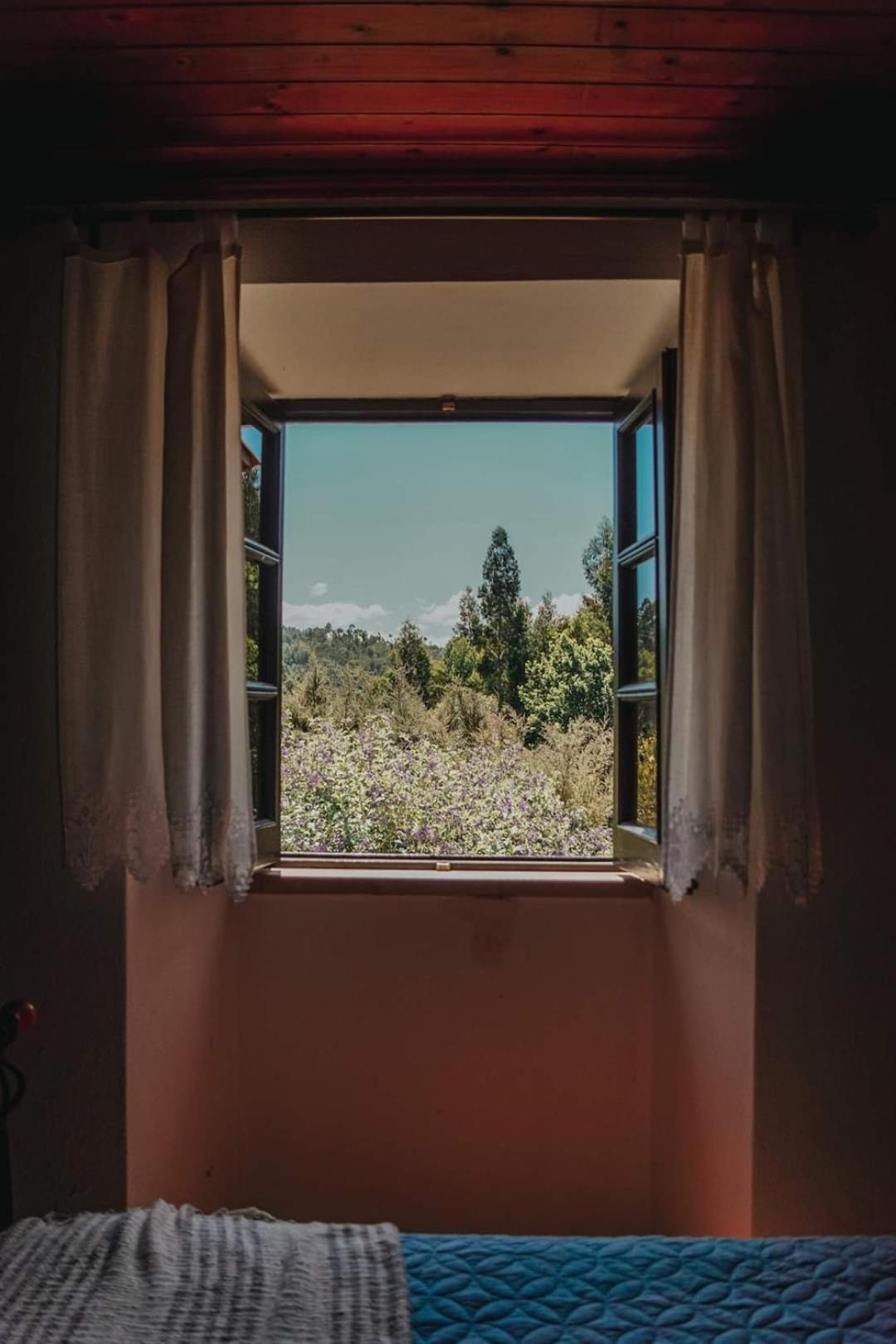 Villa Casa Da Milharica Figueiro Dos Vinhos Esterno foto