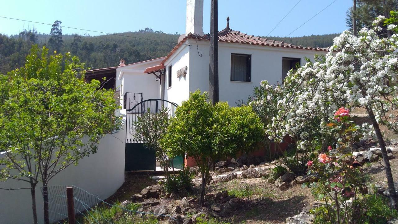 Villa Casa Da Milharica Figueiro Dos Vinhos Esterno foto